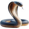 Cobra, grupo 9 do jogo do bicho, dezenas 33, 34, 35, 36