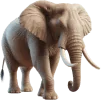 Elefante, grupo 12 do jogo do bicho, dezenas 45, 46, 47, 48