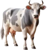 Vaca, grupo 25 do jogo do bicho, dezenas 97, 98, 99, 00